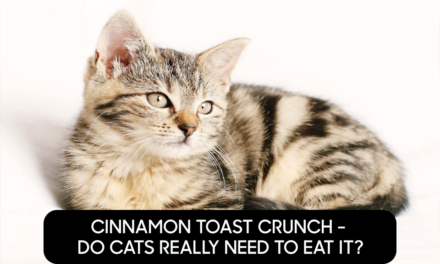 Cinnamon Toast Crunch – Do Cats Really Need to Eat It?